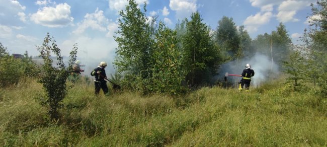 На Волині горіла суха трава