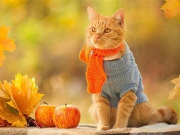 Погода у Луцьку та Волинській області на завтра, 10 вересня