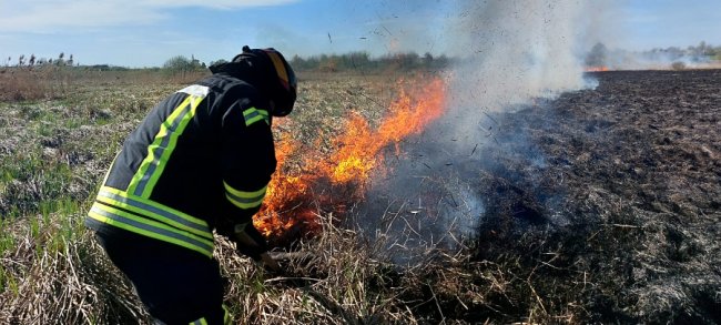 У Луцькому районі на дачному масиві горіла трава: місцева жителька підпалила сміття і залишила багаття