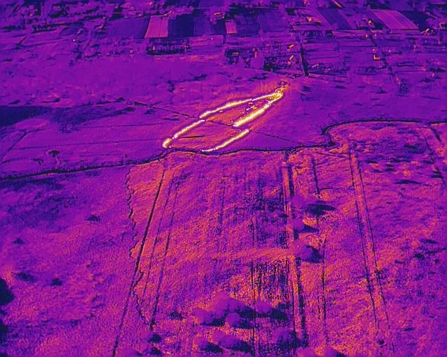 У Луцькому районі на дачному масиві горіла трава: місцева жителька підпалила сміття і залишила багаття