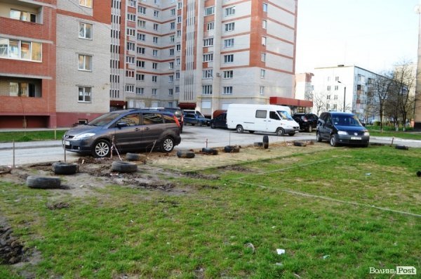 Лучани «воюють» за територію: одні садять дерева, а хтось їх ламає 