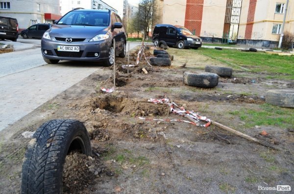 Лучани «воюють» за територію: одні садять дерева, а хтось їх ламає 