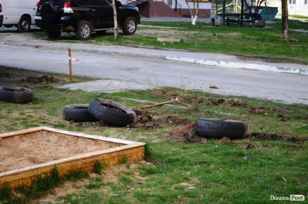 Лучани «воюють» за територію: одні садять дерева, а хтось їх ламає 