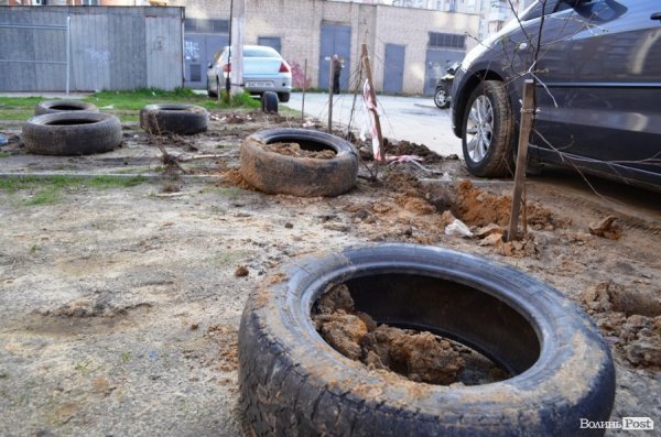Лучани «воюють» за територію: одні садять дерева, а хтось їх ламає 