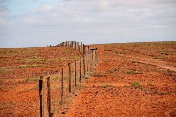 Як має виглядати кордон з Росією. ФОТО