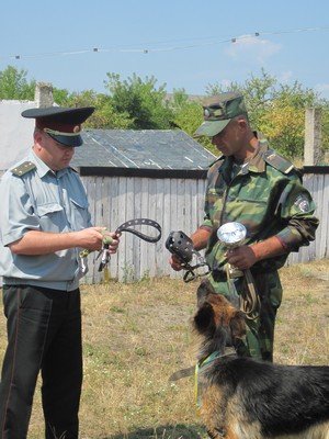Волинські кінологи змагалися за першість