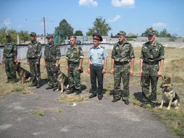 Волинські кінологи змагалися за першість