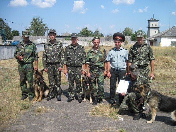 Волинські кінологи змагалися за першість