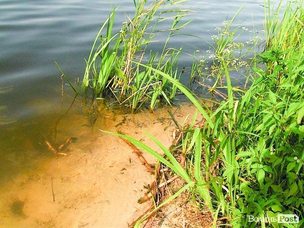 Відпочинок під Луцьком. Озерце. ФОТО 