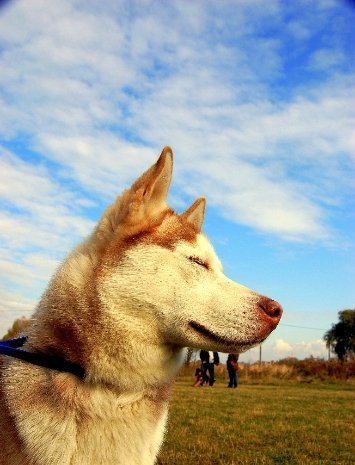 Фотовиставка Павла Березюка