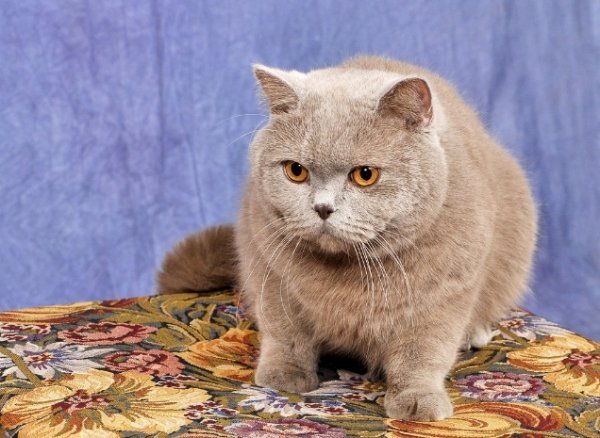 Фотовиставка Павла Березюка