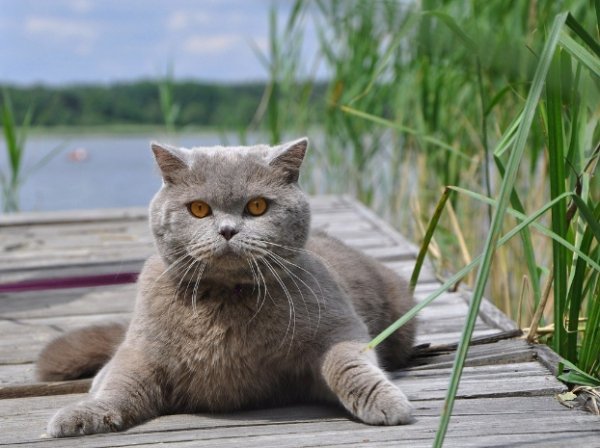 Фотовиставка Павла Березюка
