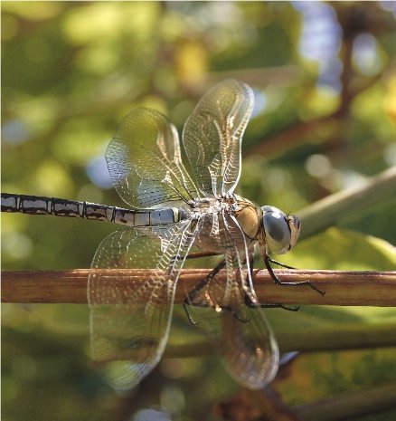 Фотовиставка Павла Березюка