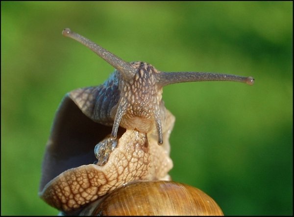 Фотовиставка Павла Березюка