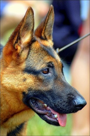 Фотовиставка Павла Березюка