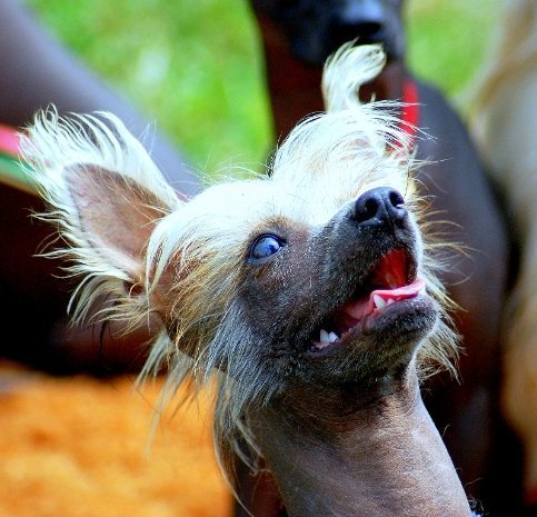 Фотовиставка Павла Березюка