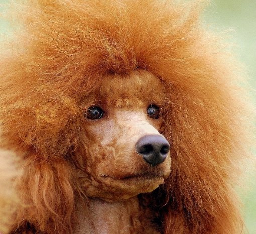 Фотовиставка Павла Березюка