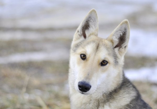 Фотовиставка Павла Березюка