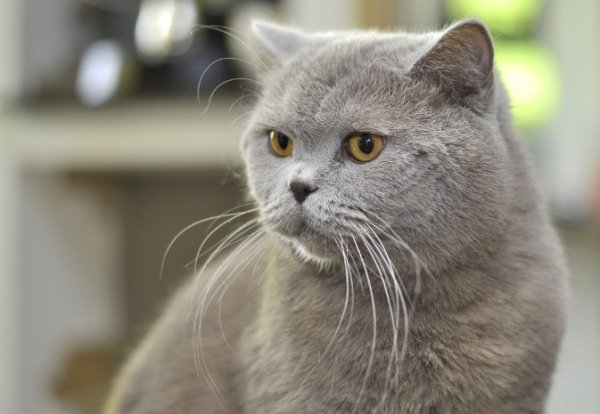 Фотовиставка Павла Березюка