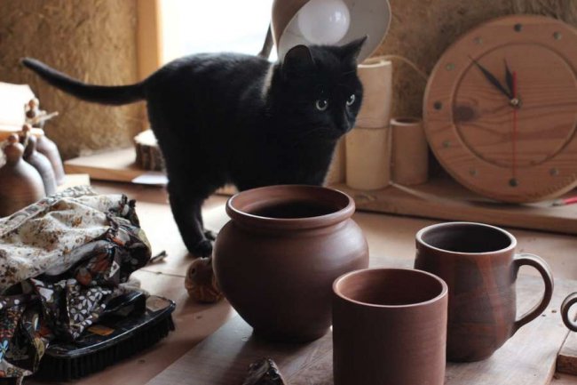 Волинянка виготовляє красивий і екологічний посуд із глини