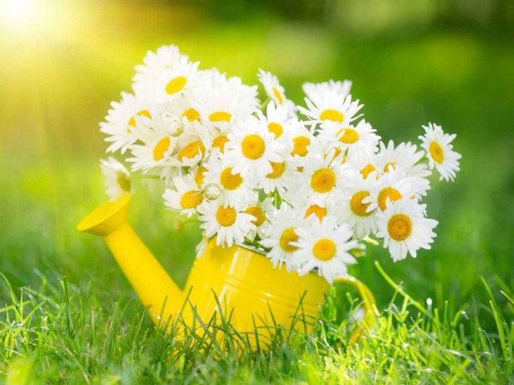 Якою буде погода у Луцьку та на Волині у неділю, 3 серпня