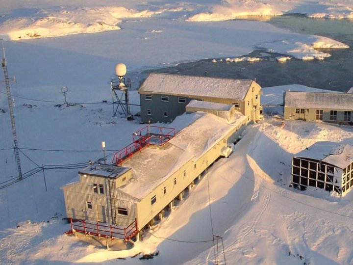 Пінгвіни онлайн: волиняни можуть поспілкуватися з полярниками і допомогти армії