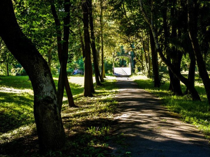 Коли у Луцьку оброблятимуть парки від кліщів
