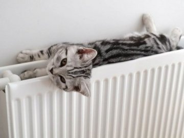 «Україна забезпечена усіма ресурсами, щоб спокійно пройти цю зиму», – Гончарук