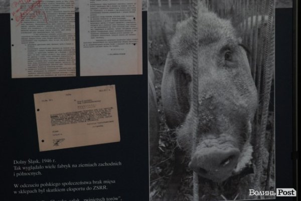 У Луцьку поляки через мистецтво підтримали українців у важкі часи. ФОТО