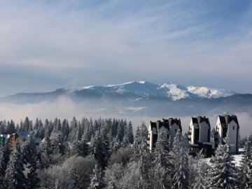 На Закарпатті через лавину посипалася гора. ВІДЕО