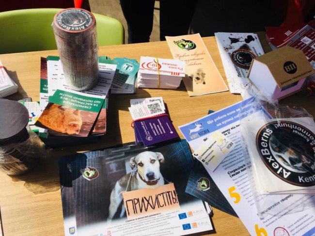 «Мокрі носики»: під час фестивалю знайшли господарів для 11 песиків. ФОТО