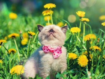 Погода у Луцьку та Волинській області на завтра, 19 травня