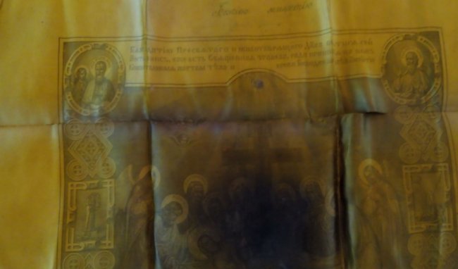 На Волині у поваленому дереві виявили неймовірну знахідку