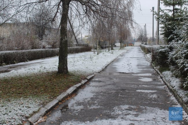 Мокрий і лапатий: на Волині - сніг. ФОТО