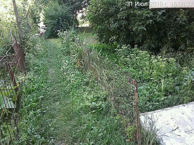 У Луцьку муніципали зноситимуть старі паркани, сараї та халабуди. ФОТО