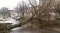 Буря у Нововолинську повалила дерева
