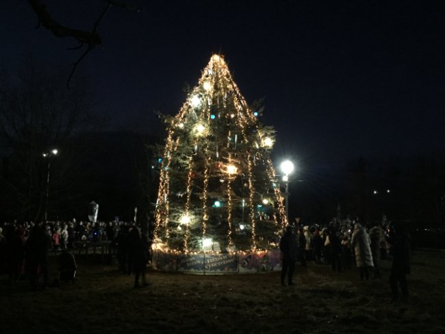 Вперше у Ковелі засвітили три ялинки. ФОТО