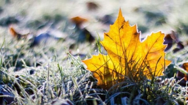 Традиції, прикмети і заборони: яке свято 30 листопада і що не можна робити в цей день