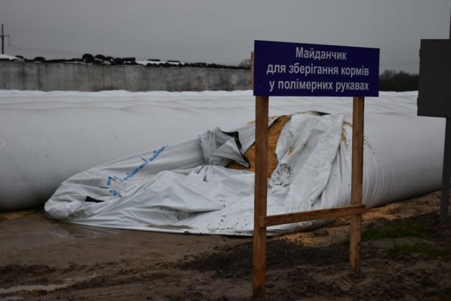 У селі на Волині збудували молочний комплекс за європейськими технологіями. ФОТО