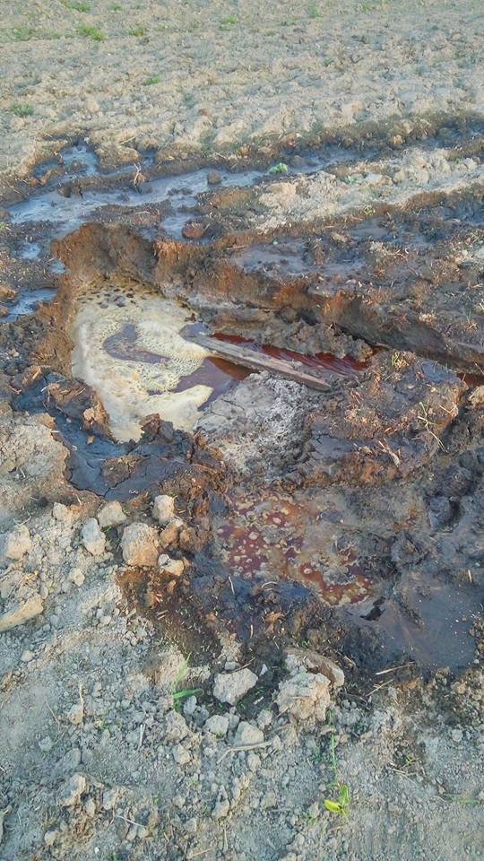 «Ні - смороду!» Мешканці Луцька вимагають від влади реальних дій