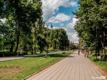 Пустовіт наклав вето на розміщення кафе у луцькому парку