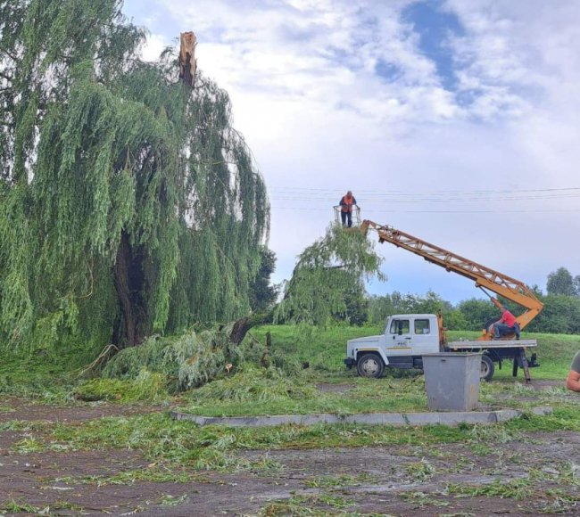 На Волині негода поламала дерева, пошкодила дахи, балкони, лінії електропередач