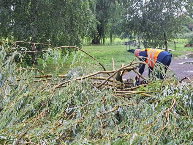 На Волині негода поламала дерева, пошкодила дахи, балкони, лінії електропередач