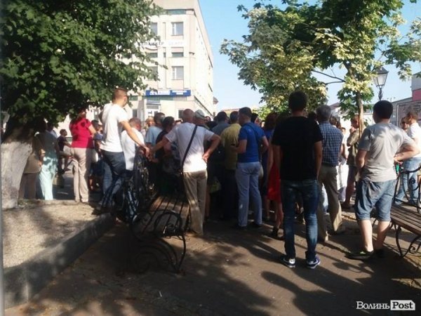 Дерева на центральній  вулиці Луцька не зрізатимуть. ФОТО. ВІДЕО