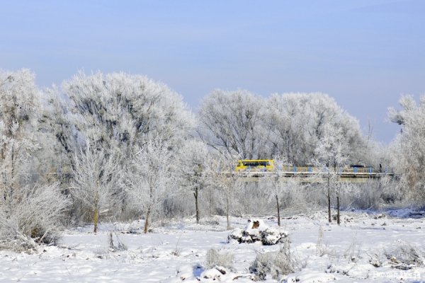 Фото зимового Луцька 