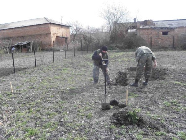 На Волині знайшли залишки поселення ХІІІ століття