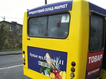 У Луцьку водій маршрутки проігнорував дитину на зупинці. ФОТО