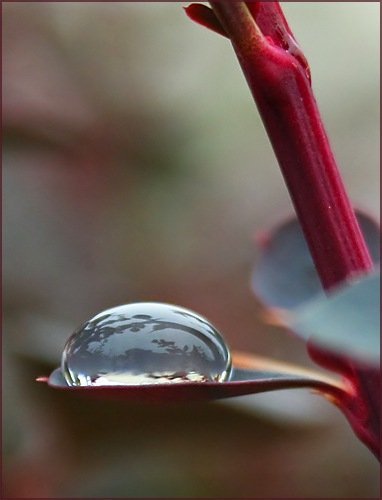 Фотовиставка Олександра Котиса
