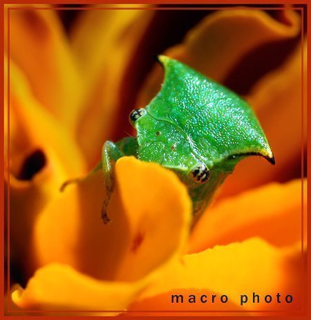 Фотовиставка Олександра Котиса