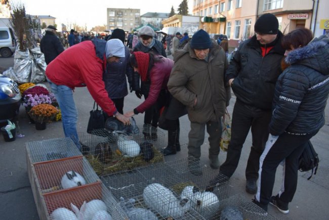 Цукор, риба і кролі: у волинському райцентрі влаштували ярмарок. ФОТО
